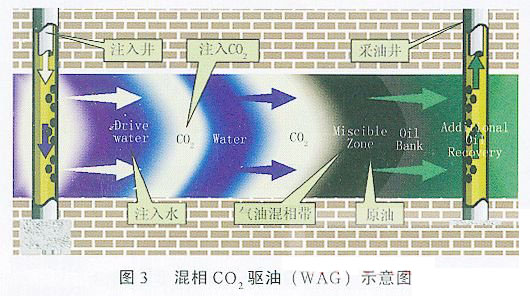 ������̼���