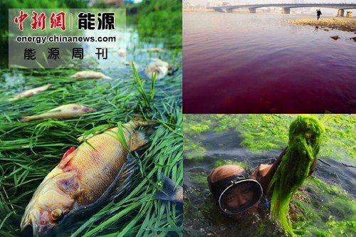 中石化三 中石化三