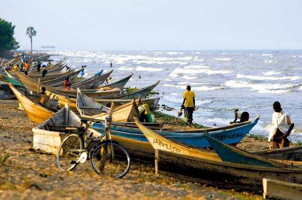 Ӣ������ʯ��